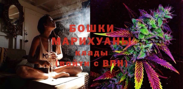 трава Аркадак