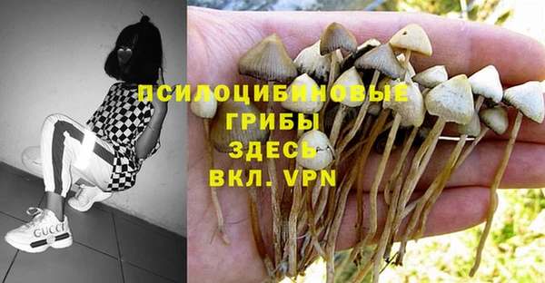 не бодяженный Алексин