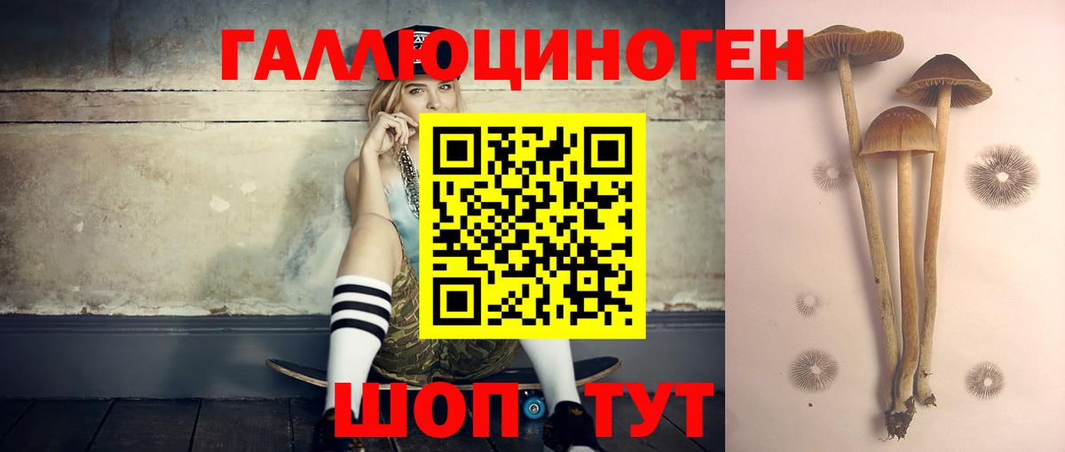 Псилоцибиновые грибы MAGIC MUSHROOMS  Вход с VPN  что такое   Псилоцибиновые грибы MAGIC MUSHROOMS  Тулун 