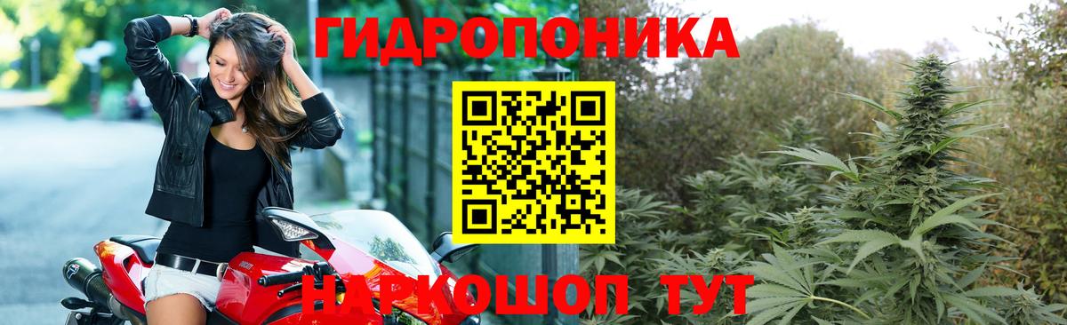 Шишки марихуана AK-47  МАРИХУАНА семена  Вход с VPN  Тулун  МАРИХУАНА тримм 